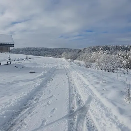 Domek Polna Cisza Bieszczady Lesko Exterior foto