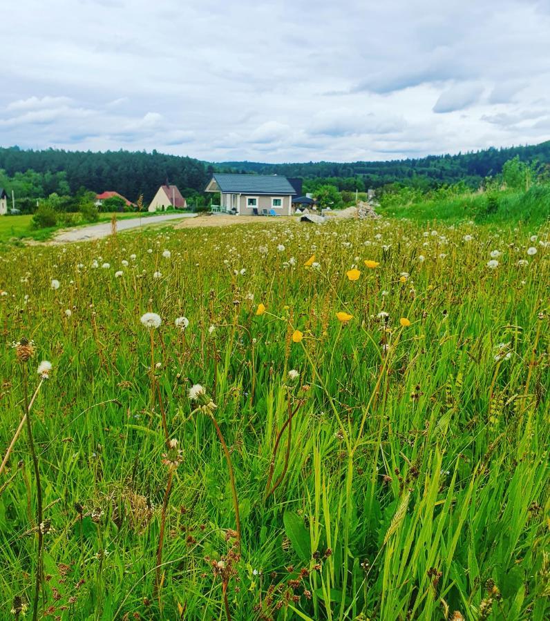 Polna Cisza Bieszczady