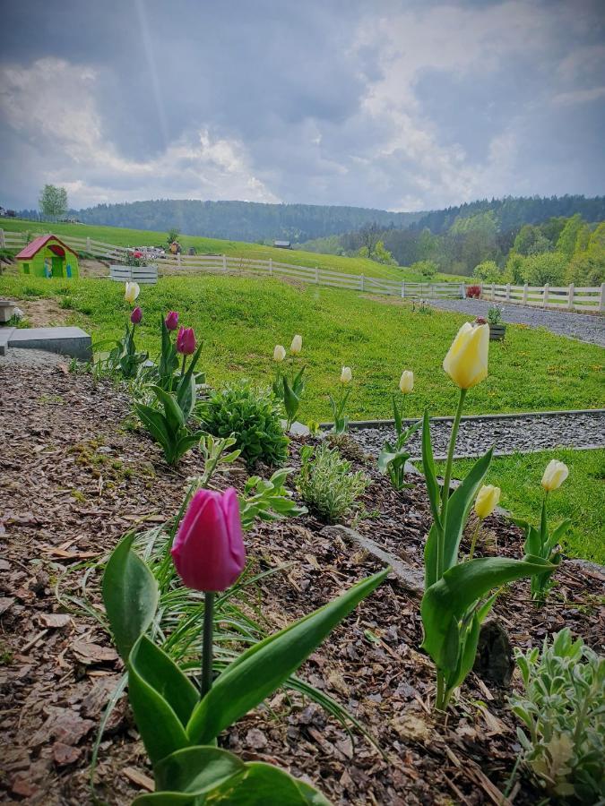 Polna Cisza Bieszczady Ferienhaus